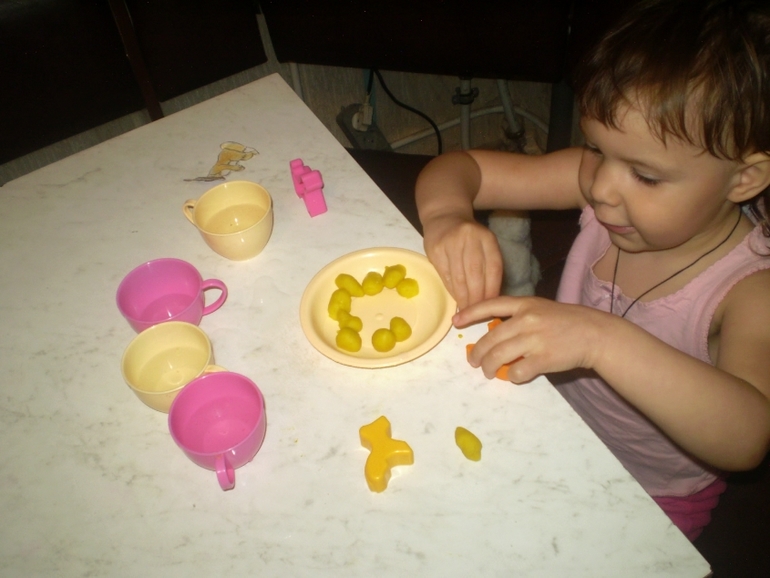 ТН Домашние животные Кошка