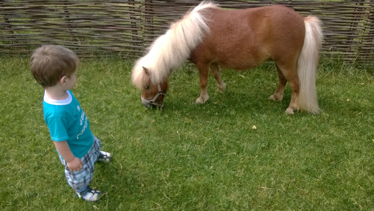 Конный парк Русь