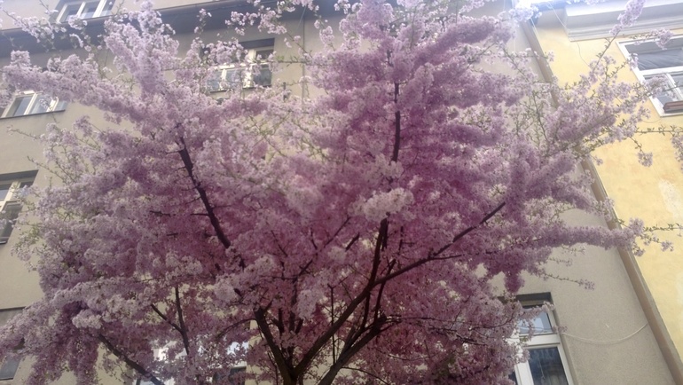 Чехия 2 часть