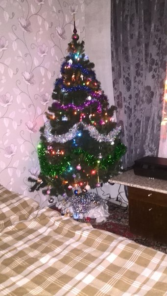 Вчера нарядили елочку))