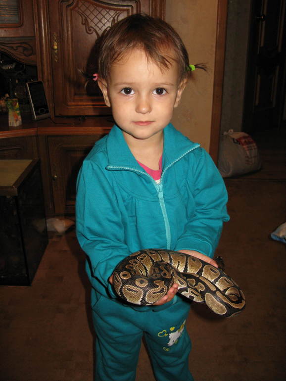 Еще один член нашей семьи:-)