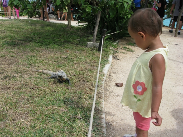 Мексика!Ездили месяц назад!23 недельки пузику!доче 2 годика:-)