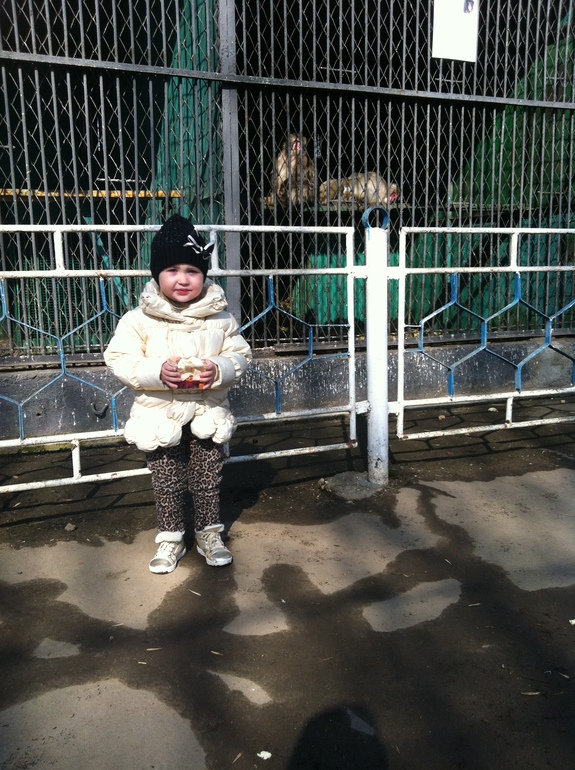 Сегодня