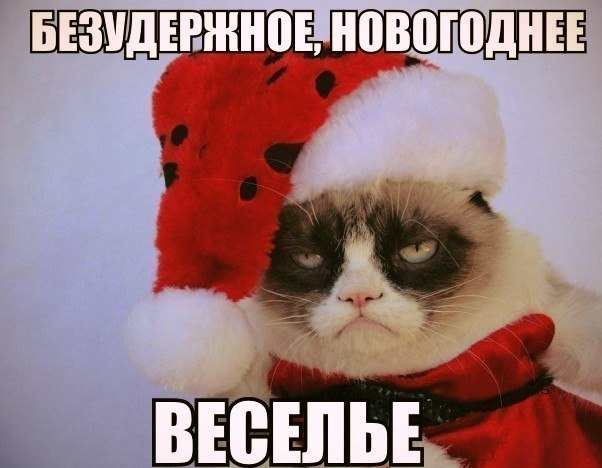 Реально безудержное веселье...