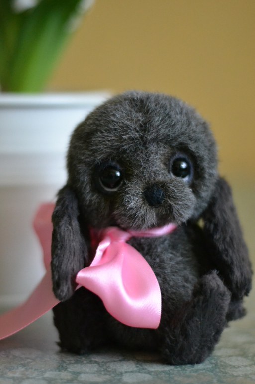 Наши новые малыши из меха