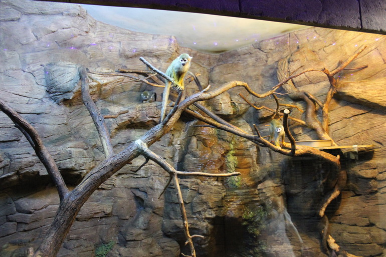 Насыщенная суббота