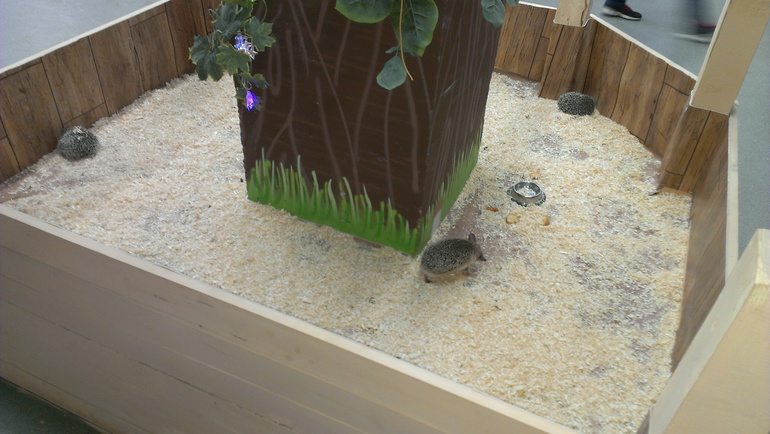 Насыщенная суббота