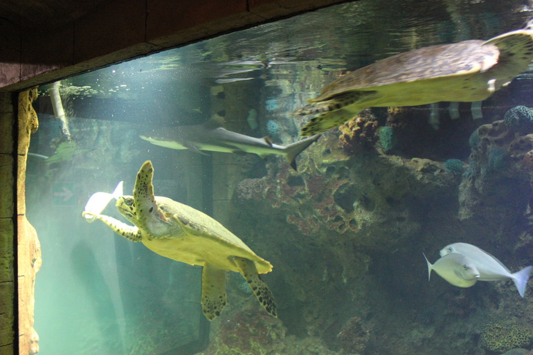 Насыщенная суббота