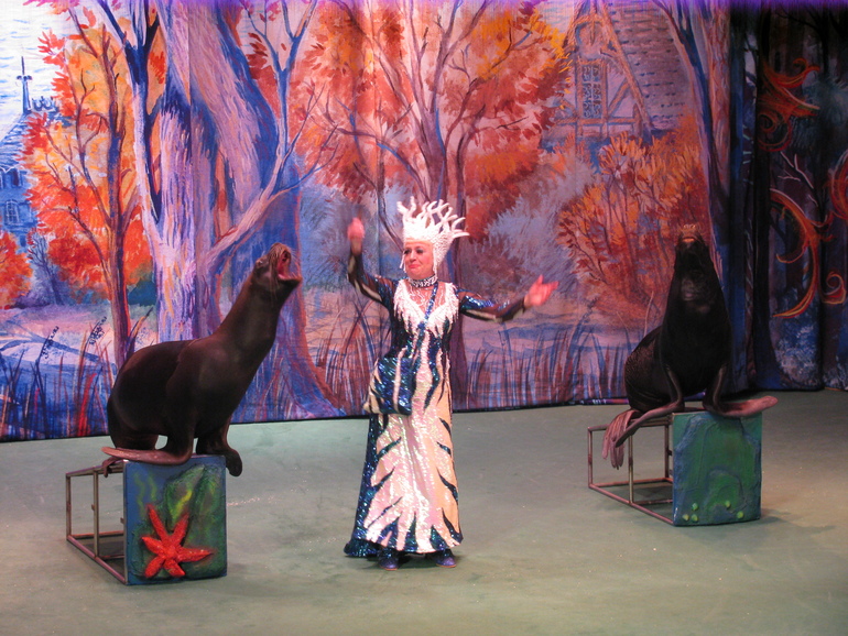 Замечательная новогодняя сказка!