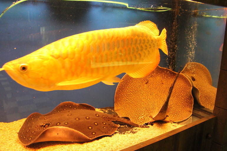 Насыщенная суббота