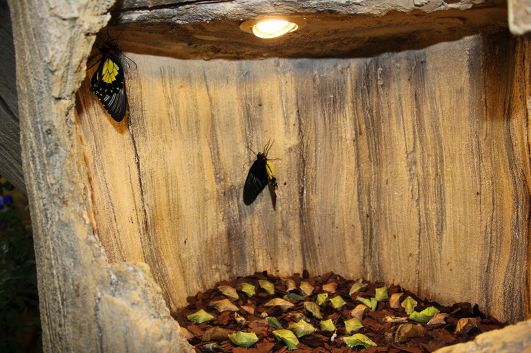 Насыщенная суббота