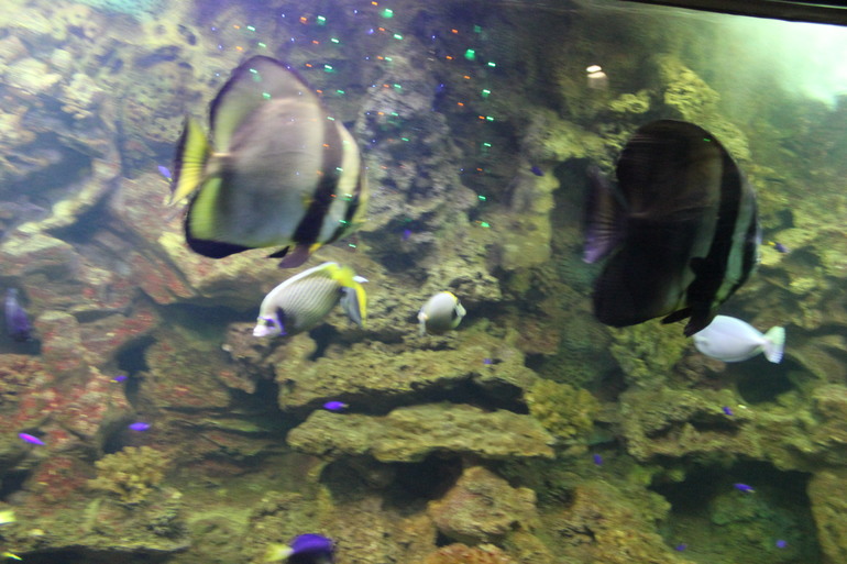 Насыщенная суббота