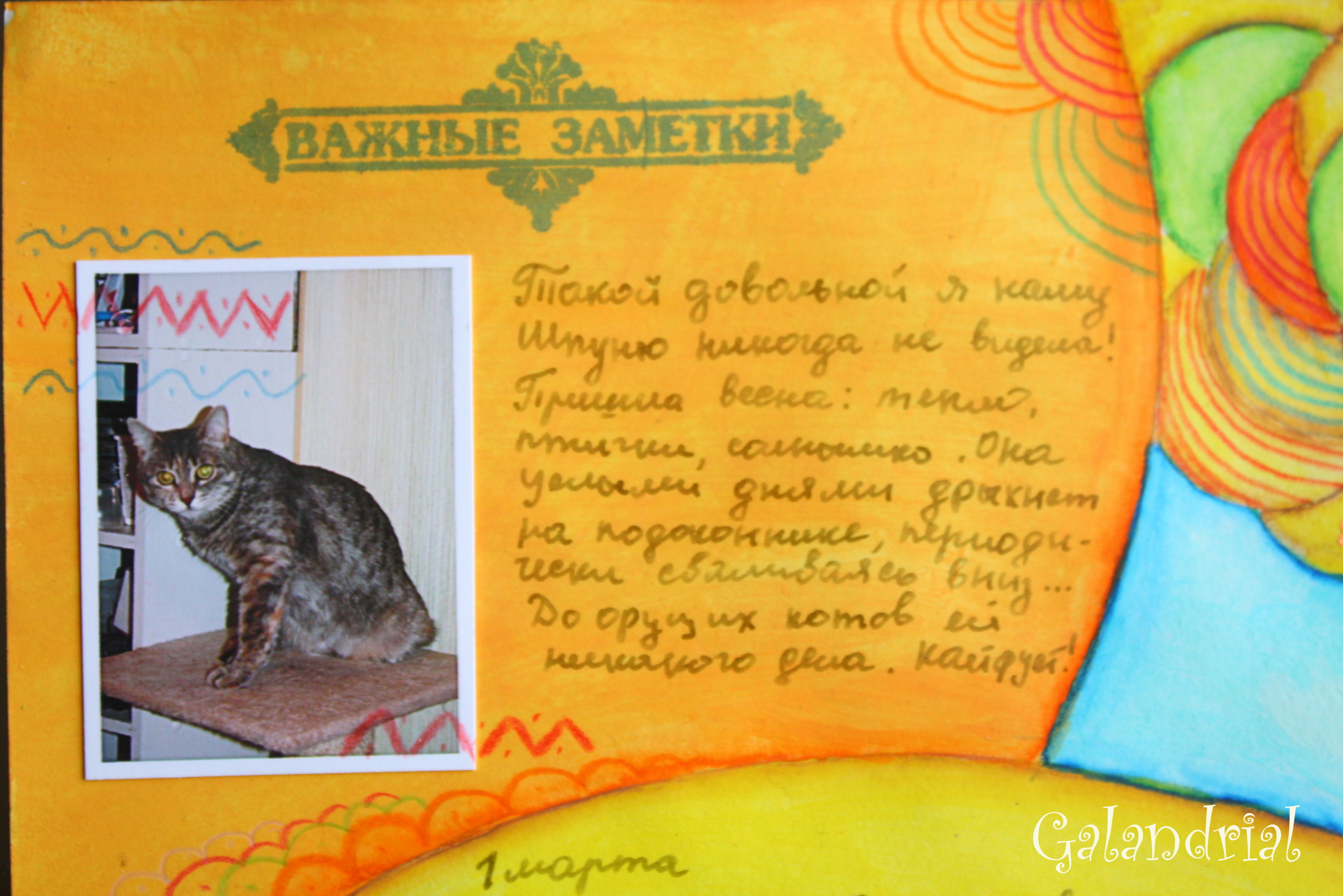 9 неделя: масленица