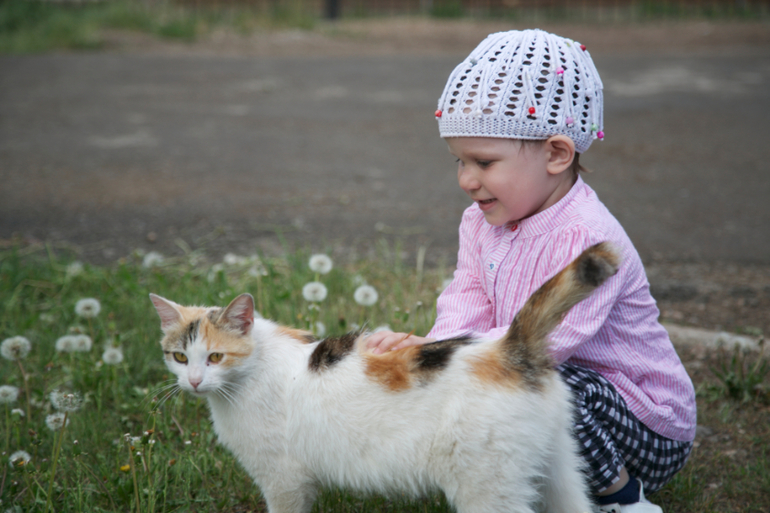 Проявляя интерес...(нам 2,4 сегодня!)