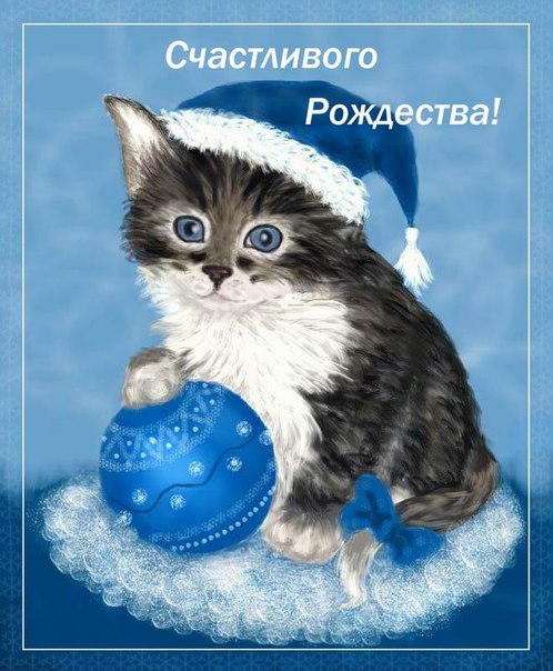 С Рождеством!!!