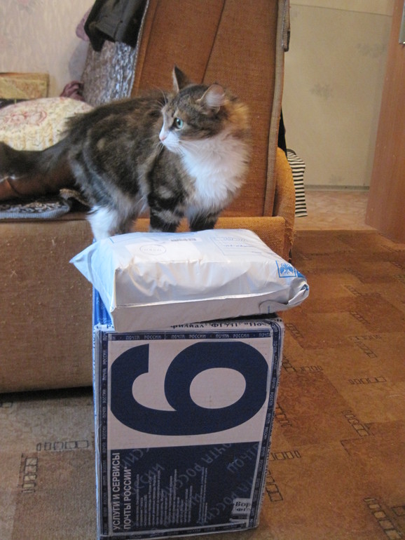 Спасибо нашим феям!!!