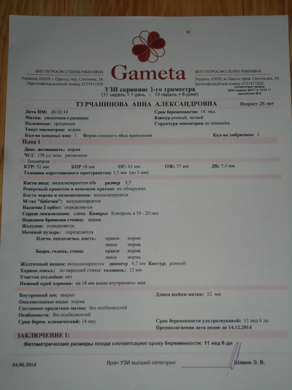 УЗИ 04.06.2014 (11 нед 6 дней)