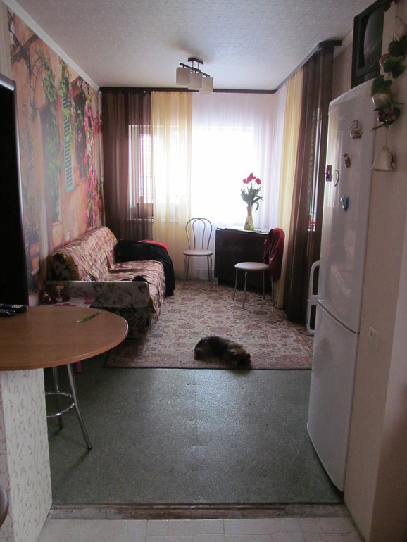 Наш дом:как только въехали и то что успели сделать на сегодня(прошло 9 месяцев)