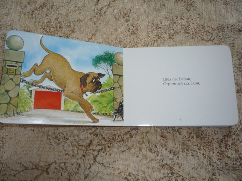 Книги для младшей дочери(1 год).