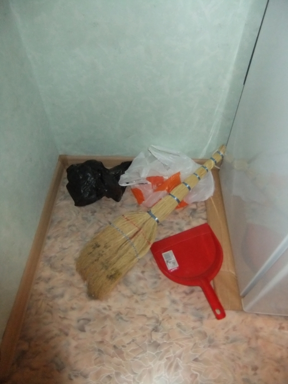 Дипломная работа. Один день настоящей ФлайЛеди.