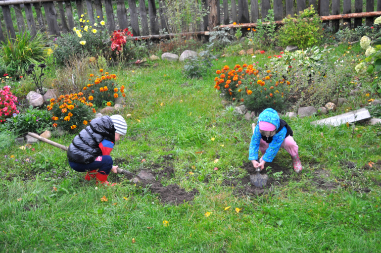 ТН Овощи, фрукты