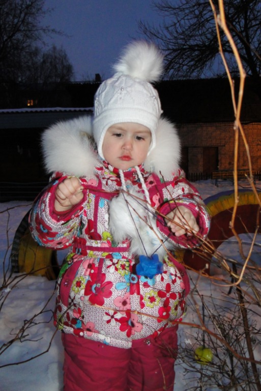 Новогоднее 2