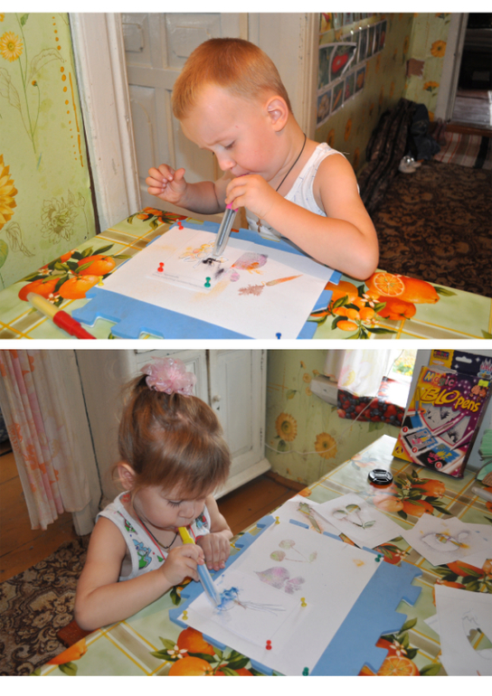 ТН Овощи, фрукты