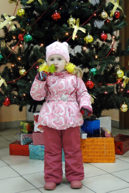 Новогоднее 2