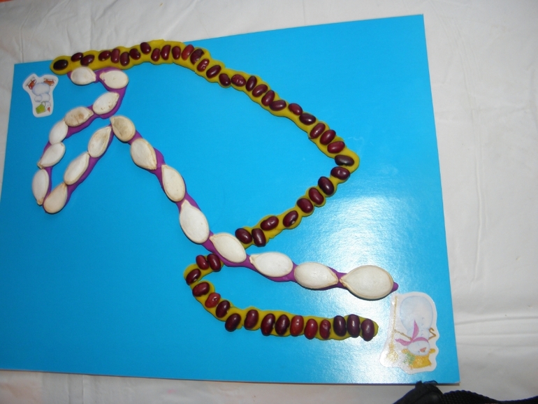 Мелкая моторика №26