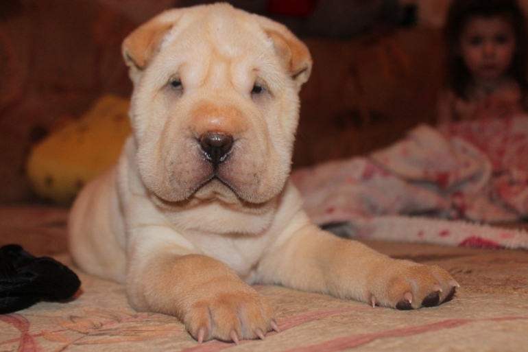 Сбылась моя мечта!!!