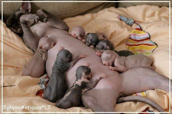 Все мамы устают одинаково :)