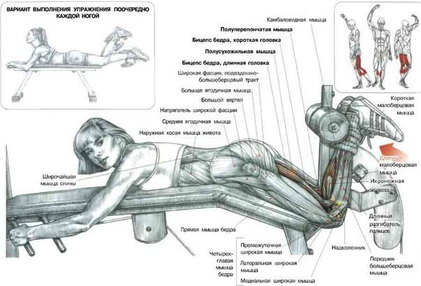 Ноги