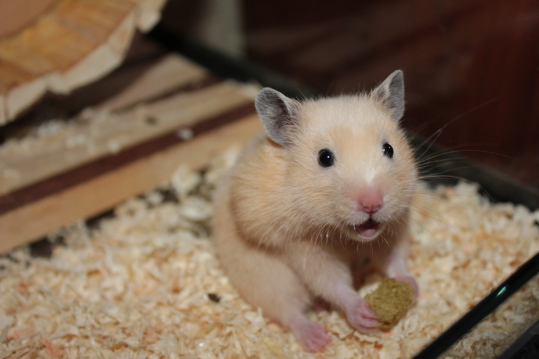 Джуське 2 месяца!