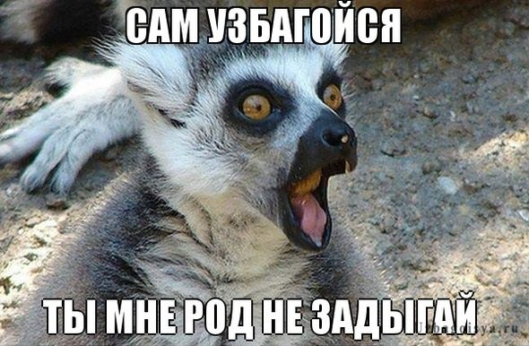 Я ЗБАГОЕН!