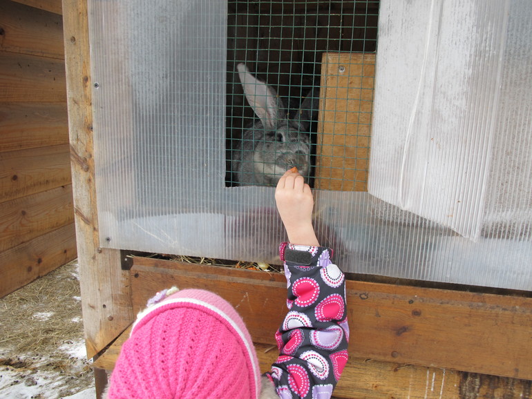 Зимние каникулы