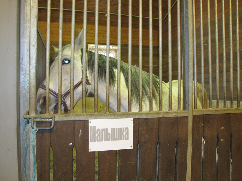 Зимние каникулы