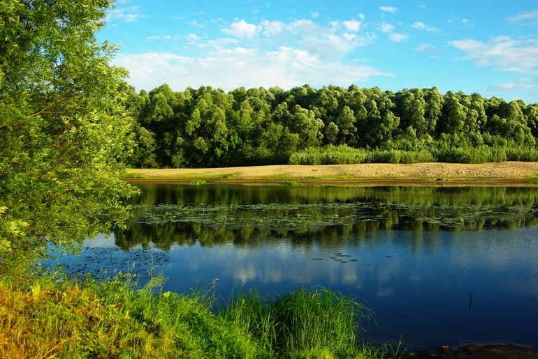 село Дединово (Московская обл)