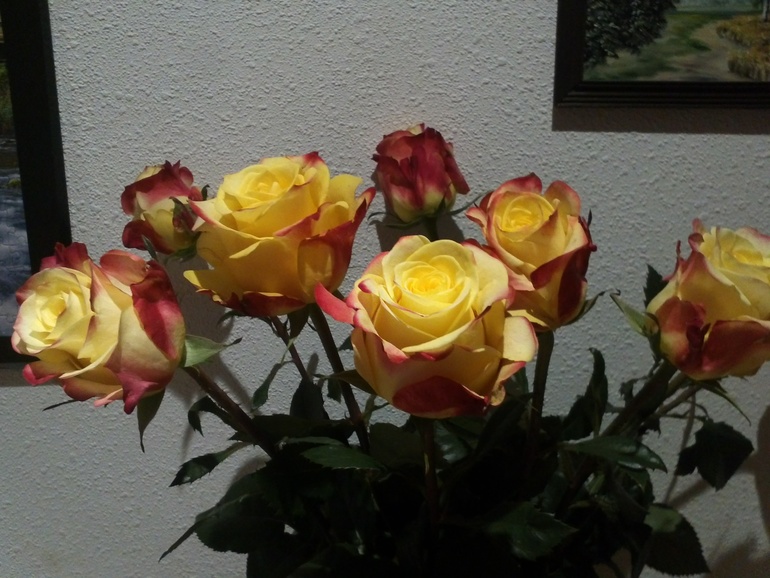 Взлет 72 день 7,8