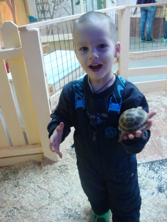 Контактный зоопарк в Теплом стане