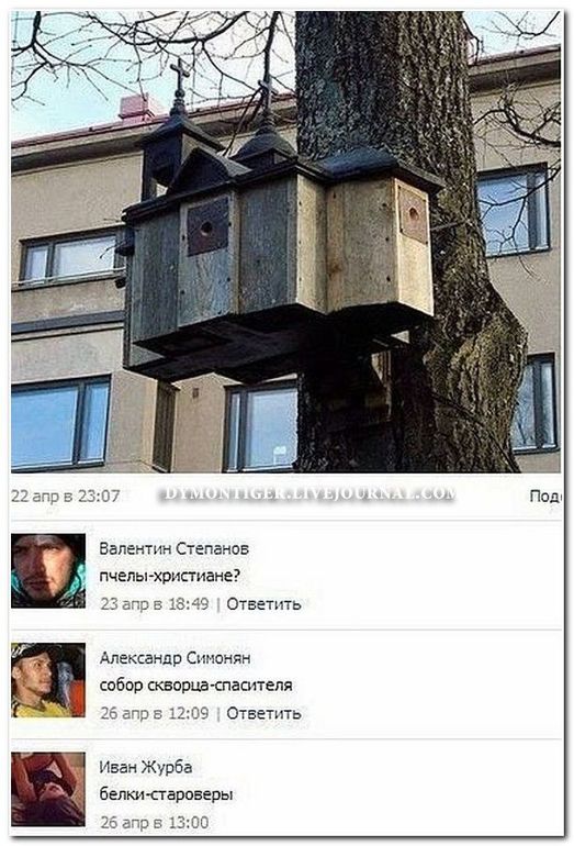 смех продлевает жизнь ) смешные комменты