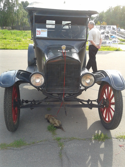 Парк Кузьминки: настоящее и прошлое в одном флаконе
