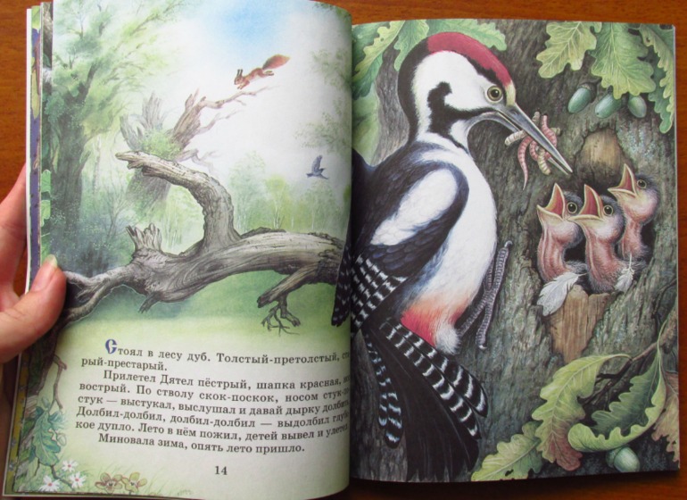 Еще немного тонких книг