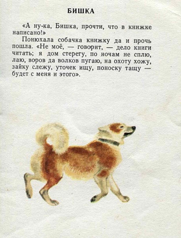 К.Ушинский: Бишка. Художник Н.Устинов