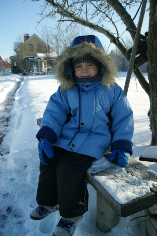 морозный день