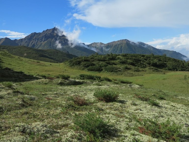 Камчатка - любовь моя. Осторожно, куча фото)