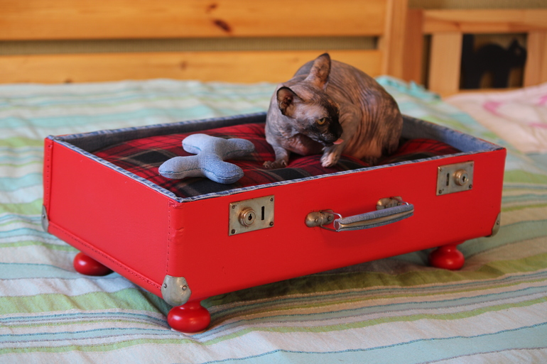 чемоданчик для Спинча)