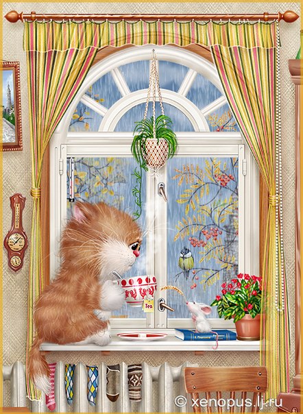 Классные коты;)