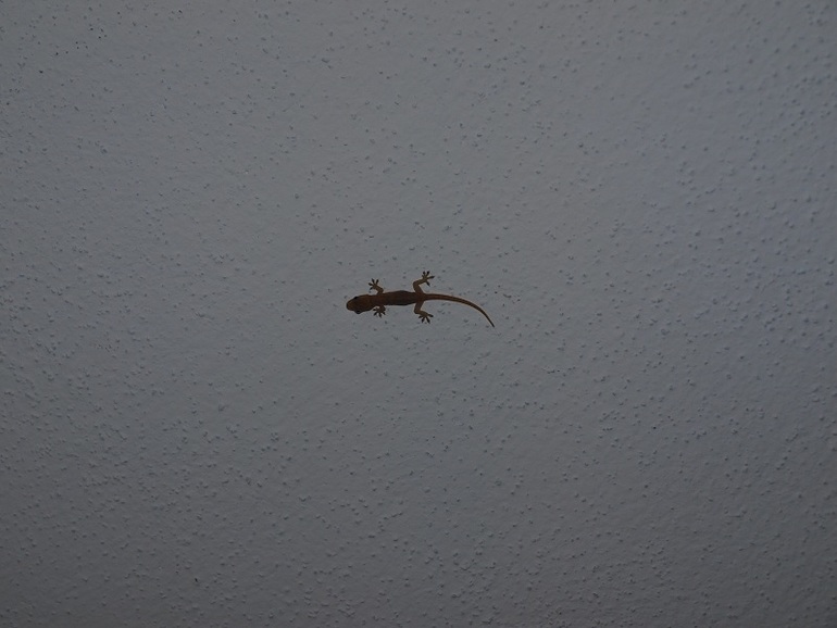 Курортники :)