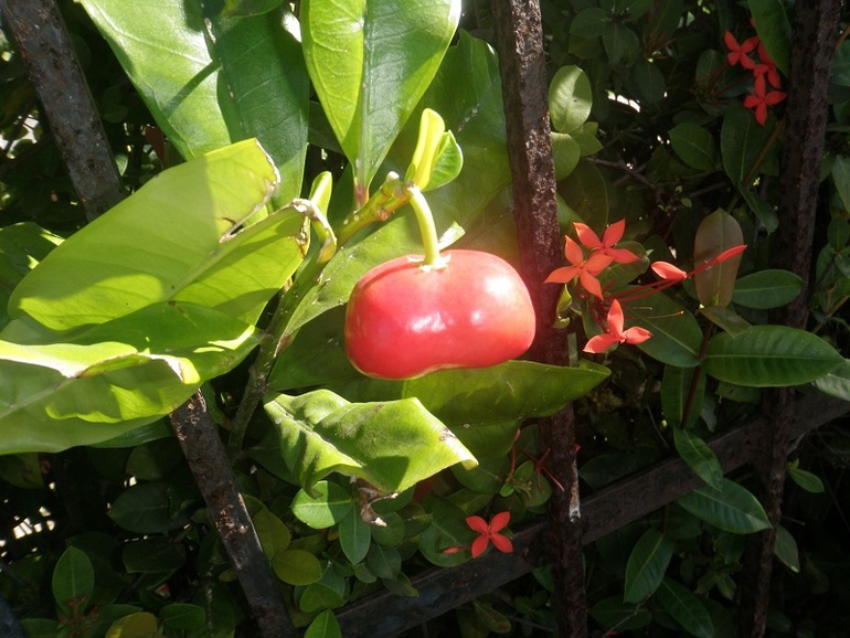 Курортники :)