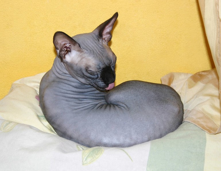 Ремонт в детской